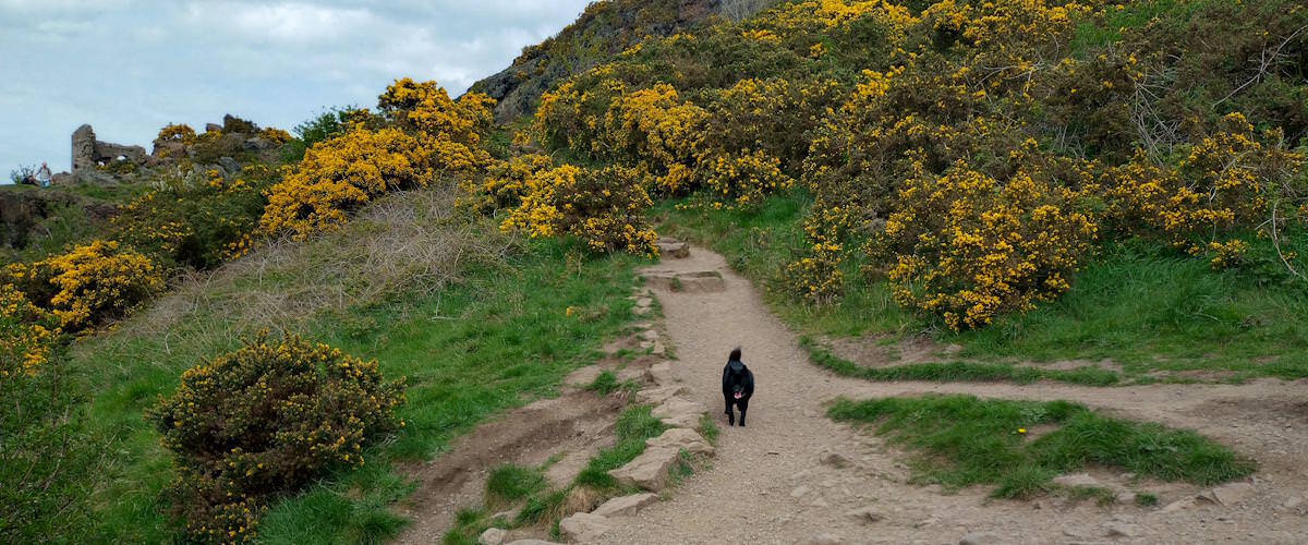Path turning into St Anthony's Chapel